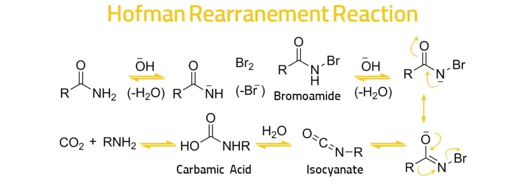 واکنش-هافمن